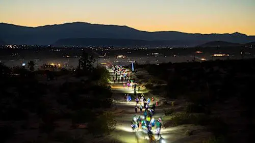 2026 Joshua Tree Half Marathon logo