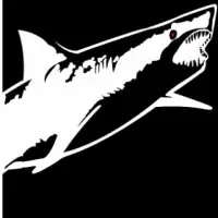 2026 San Diego Sharkfest Swim logo