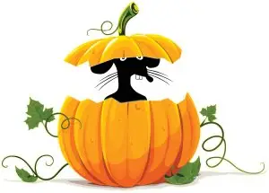 26th Annual River City Rat Race logo