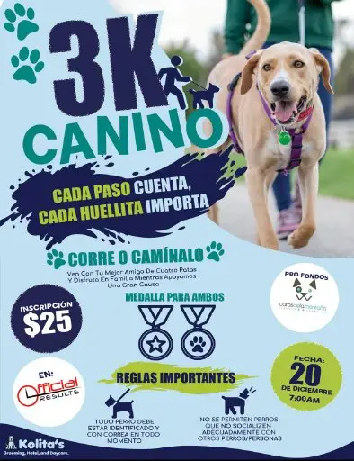 3k Canino logo