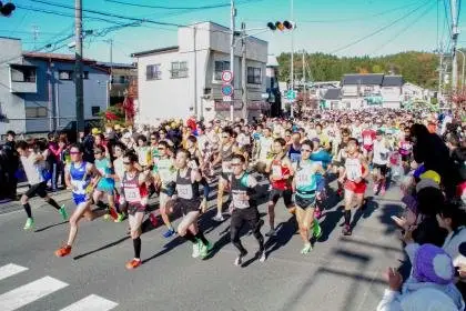 40th Anniversary Miyako Salmon Half Marathon (第40回記念宮古サーモン・ハーフマラソン) logo