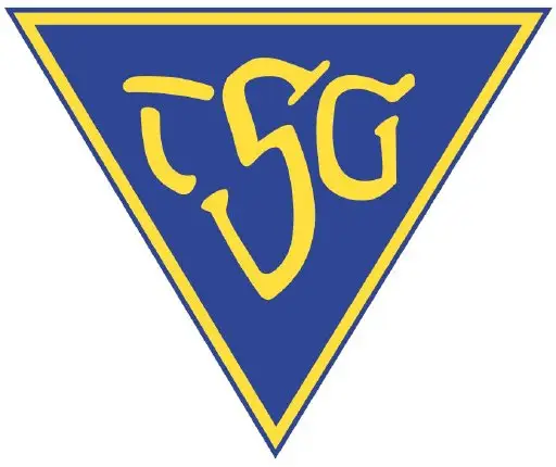 40. Nikolauslauf der TSG Dülmen logo