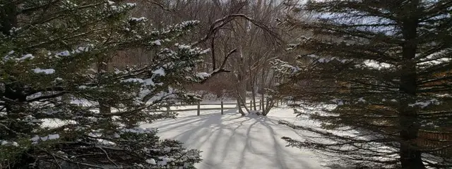 8 Hours of Ode | Ode in the Snow logo