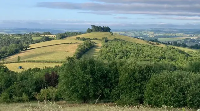 Bath Hilly Half & Ultra 10k logo