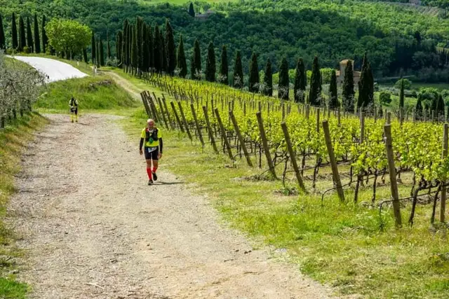 Chianti Ultra Trail by UTMB® - Chianti Ultra Trail logo