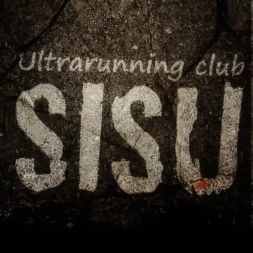 Joensuu Night Run 12h logo
