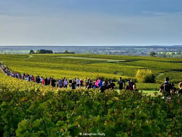 La Pouilly-Sancerre logo