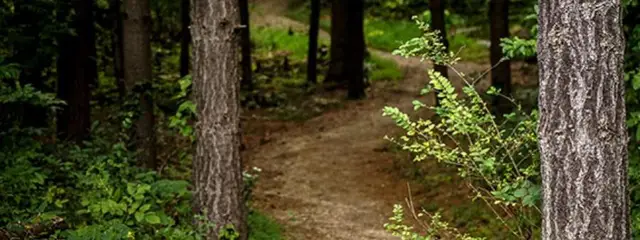 Nature Park 50K & 25K Trail Race logo