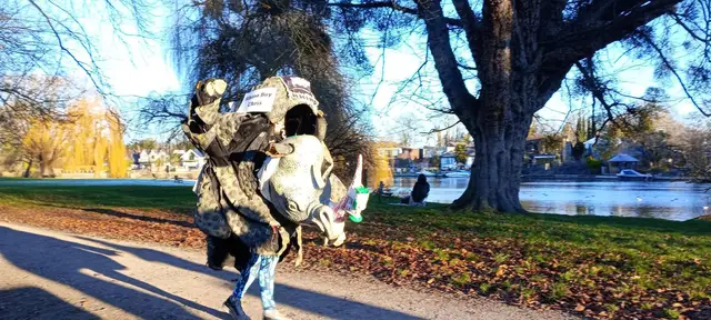 Rhino Run-Nottingham logo