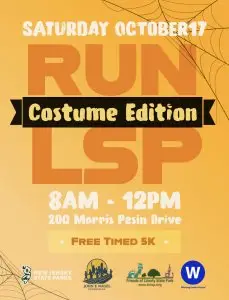RUN LSP - Costume Edition logo