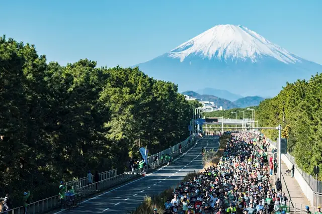 Shonan International Marathon logo