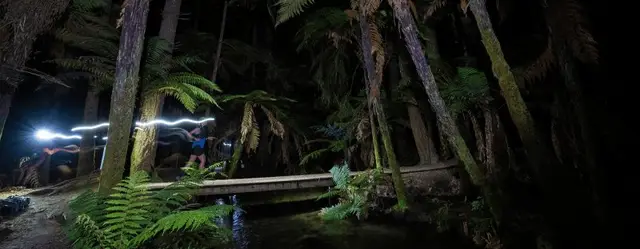 Tarawera Ultra-Trail by UTMB® - TMiler logo