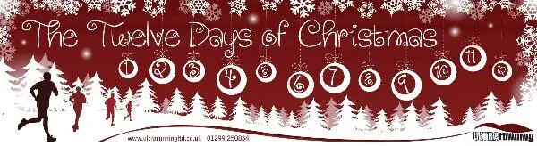 The 12 Days of Christmas 12in12 logo