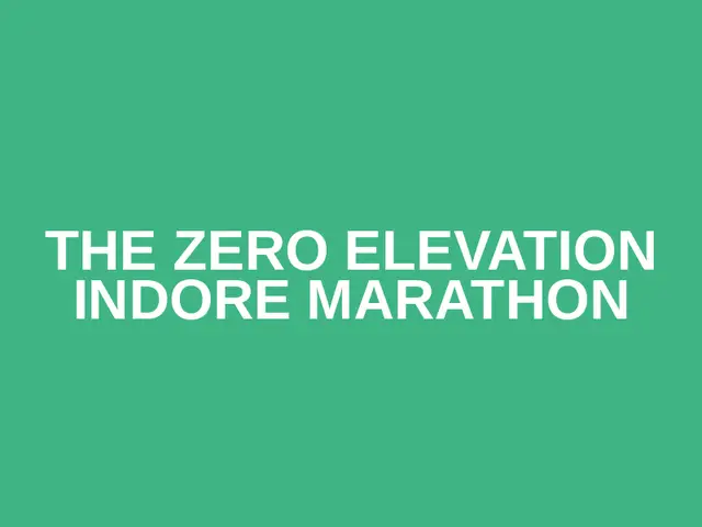 The Zero Elevation Indore Marathon logo