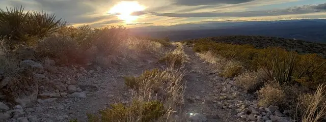 Truth or Consequences Desert Ultra logo