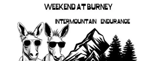 Weekend at Burney logo