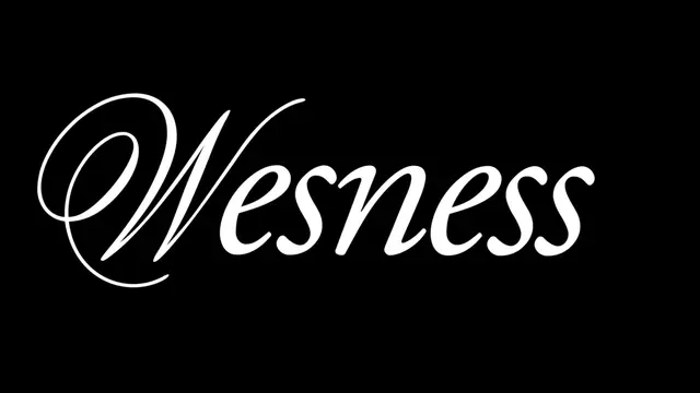 Wesness Run2zumba Hyderabad 2026 logo