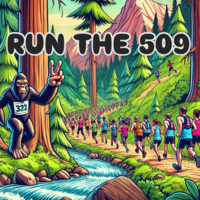 Run the 509
