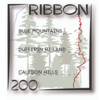The Ribbon 200