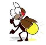 TISHOMINGO FIREFLY 5K & 1M FUN RUN, 8:20 p.m. Logo