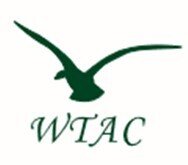 Nick Bottone Mile Logo