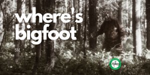 Where's Bigfoot 5k Logo