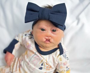 The Blakely Bumblebee Run Logo