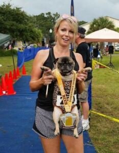 THe Dunedin Dog n' Suds Summer 5K At HOB Brewing Company In Downtown Dunedin Logo