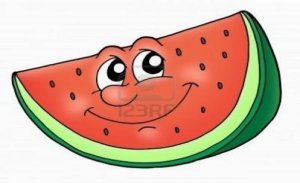 Hampton County Watermelon Festival 5K Logo