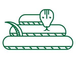 Iowa Trail Run Series: Yellow River State Forest Logo