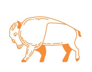 Iowa Trail Run Series: Jester Park