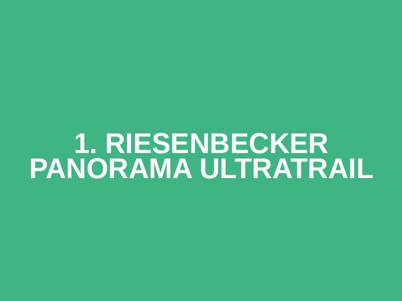 1. Riesenbecker Panorama UltraTrail