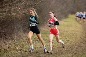 10 km Vivier au court Logo