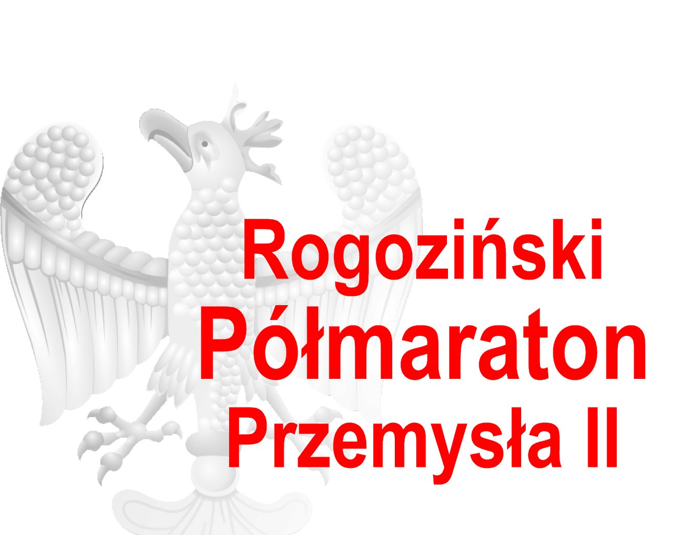 11. Rogoziński Półmaraton Przemysła II