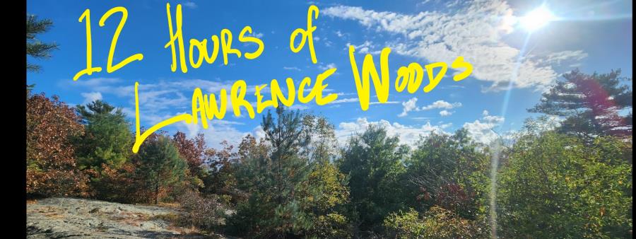 12 Hours of Lawrence Woods Logo