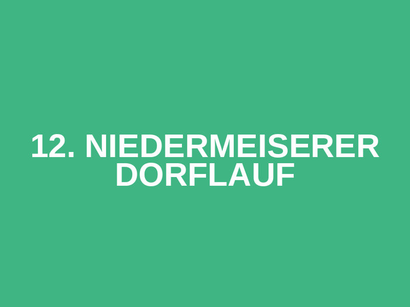 12. Niedermeiserer Dorflauf