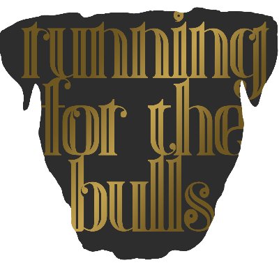 14th Annual Running for the Bulls Logo