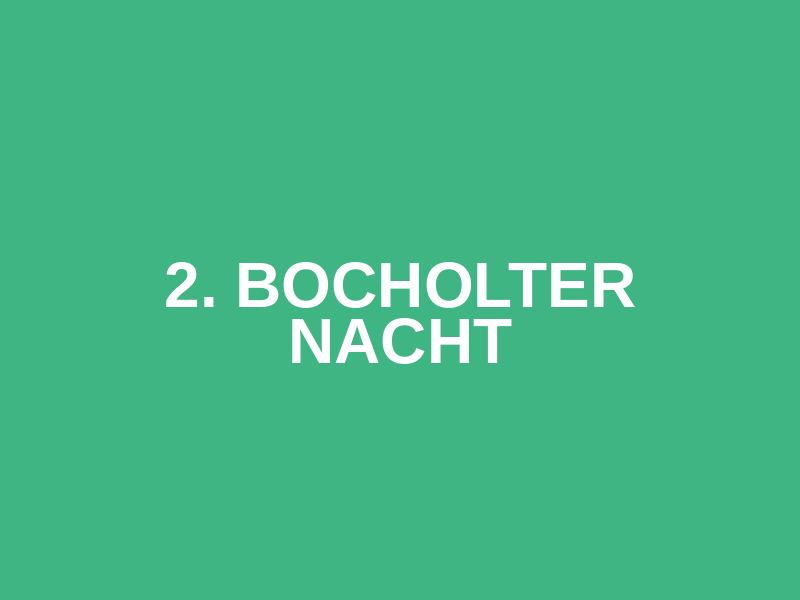 2. Bocholter Nacht