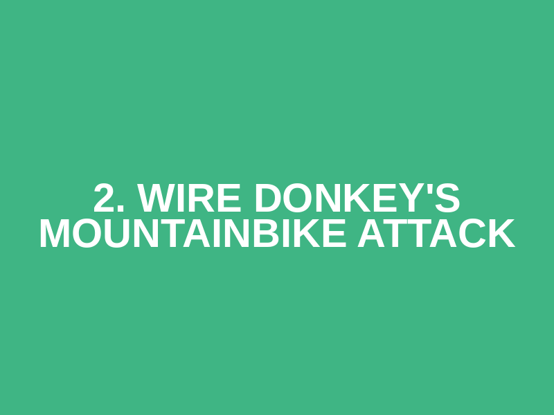 2. Wire Donkey's Mountainbike Attack