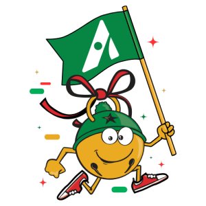 2026 Jingle Bell Run - Metro DC Logo