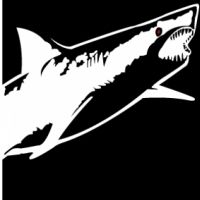 2026 Alcatraz Sharkfest Swim Logo