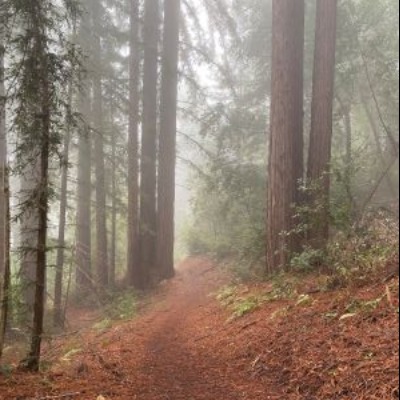 2026 Call of the Wild Half Marathon & 5 Mile