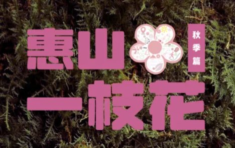 GO Wild Community Race 2026 - Huishan's Lone Blossom (2026 GO野社区赛·惠山一枝花)