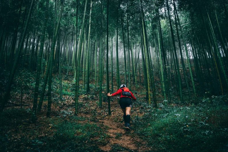 2026 Kailas Mogan Mountain Running Race