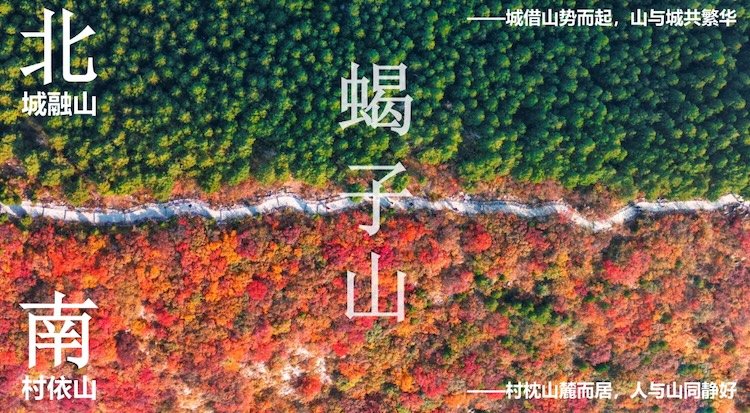 2026 Jinan Xinglong Scorpion Mountain Trail Race and Sikaile Ladybug Training Race, Jinan Stage (2026济南兴隆蝎子山越野赛暨思凯乐瓢虫训练赛济南站)