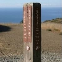 2026 Stinson Beach/Muir Woods Marathon, Half Marathon & 7 Mile Logo