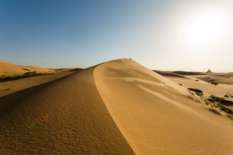 2026 Zhongwei Desert Trail