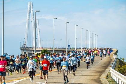 Toyama Marathon 2026 [42.195km General Entry] (富山マラソン2026【42.195km一般枠】)