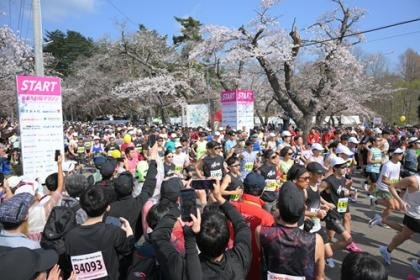 2027 Aomori Sakura Marathon (2027あおもり桜マラソン) Logo