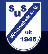 22.Westenholzer Abendlauf